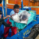 Pesqueros artesanalesXXXS