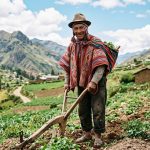 POEMA HERMANO CAMPESINO