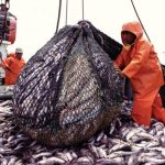 pesca peruana