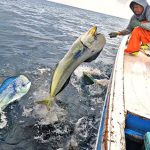 Pesca artesanal en Perú (2)